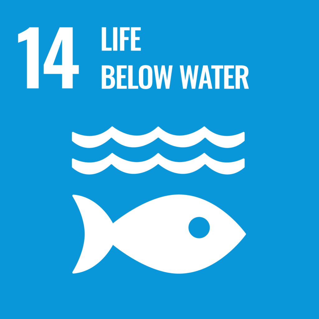 UN Sustainable Development Goal 14: Life below water