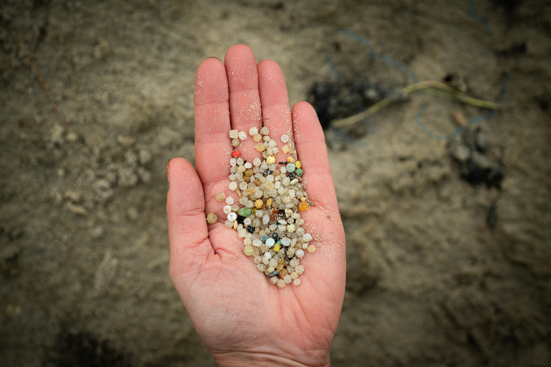 A hand holding a mix of small plastic pellets and fragments on a beach